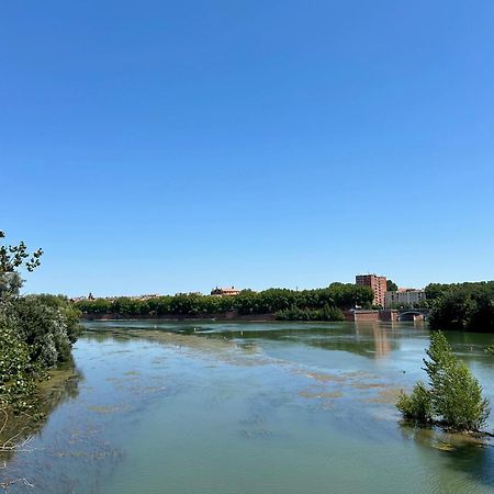Loft Garonne - Centre Ville Immeuble Privatif トゥールーズ エクステリア 写真