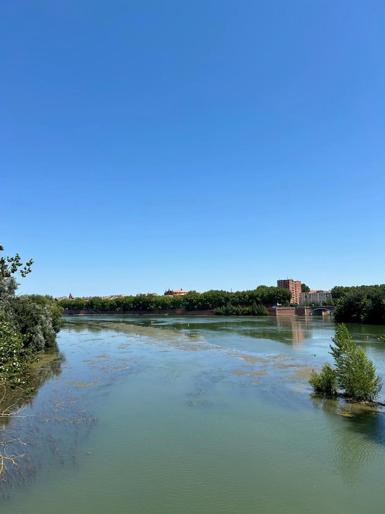 Loft Garonne - Centre Ville Immeuble Privatif トゥールーズ エクステリア 写真