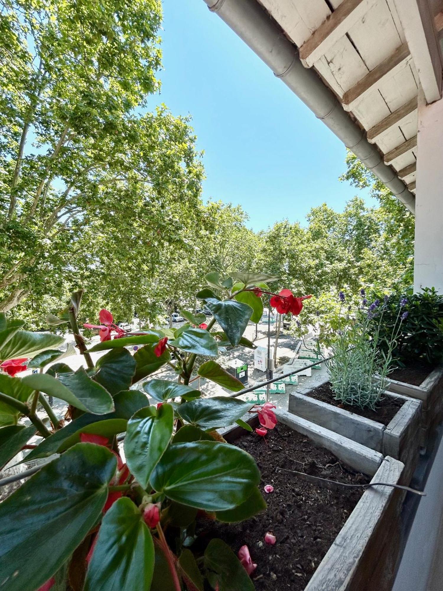 Loft Garonne - Centre Ville Immeuble Privatif トゥールーズ エクステリア 写真