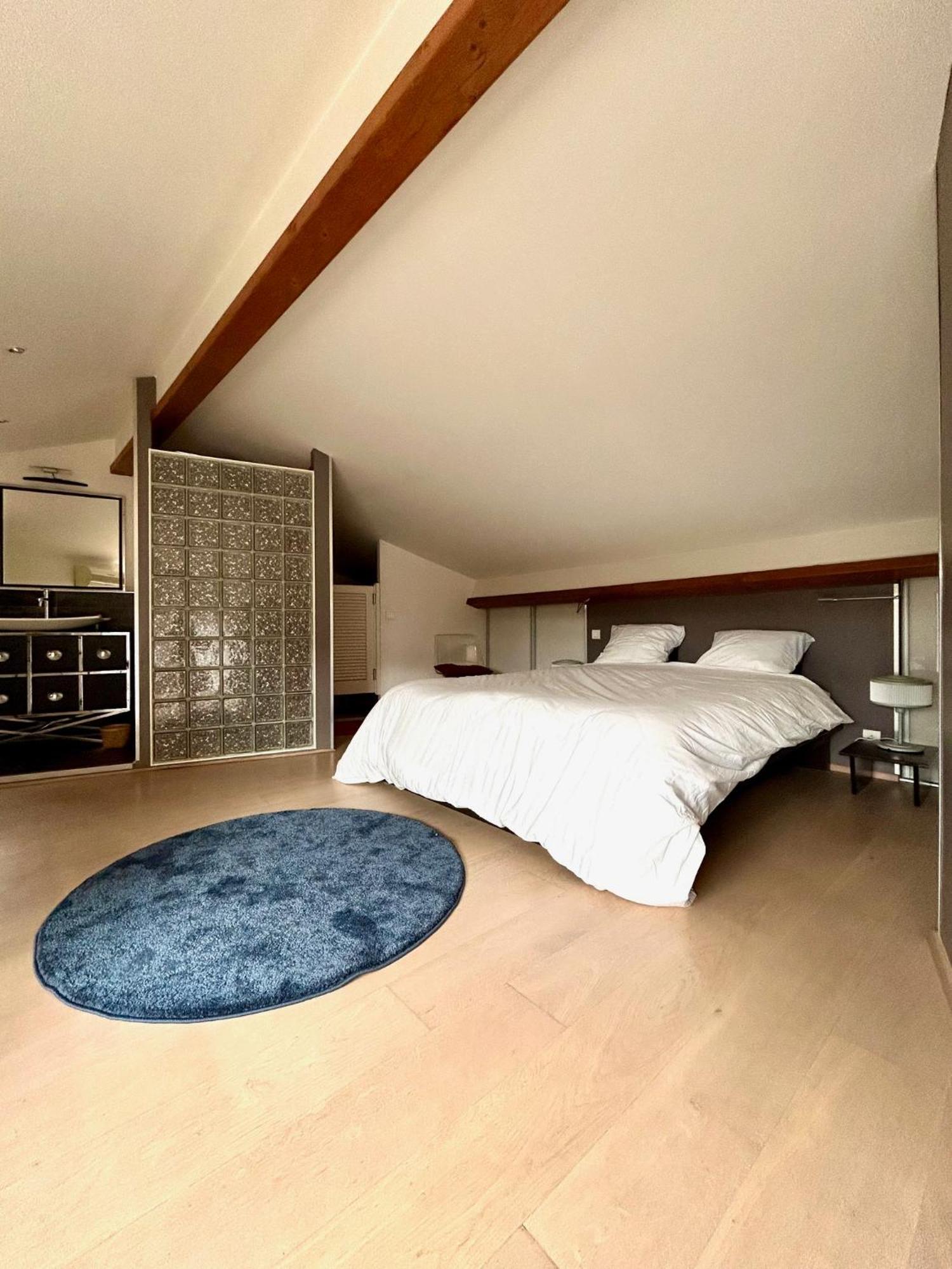 Loft Garonne - Centre Ville Immeuble Privatif トゥールーズ エクステリア 写真