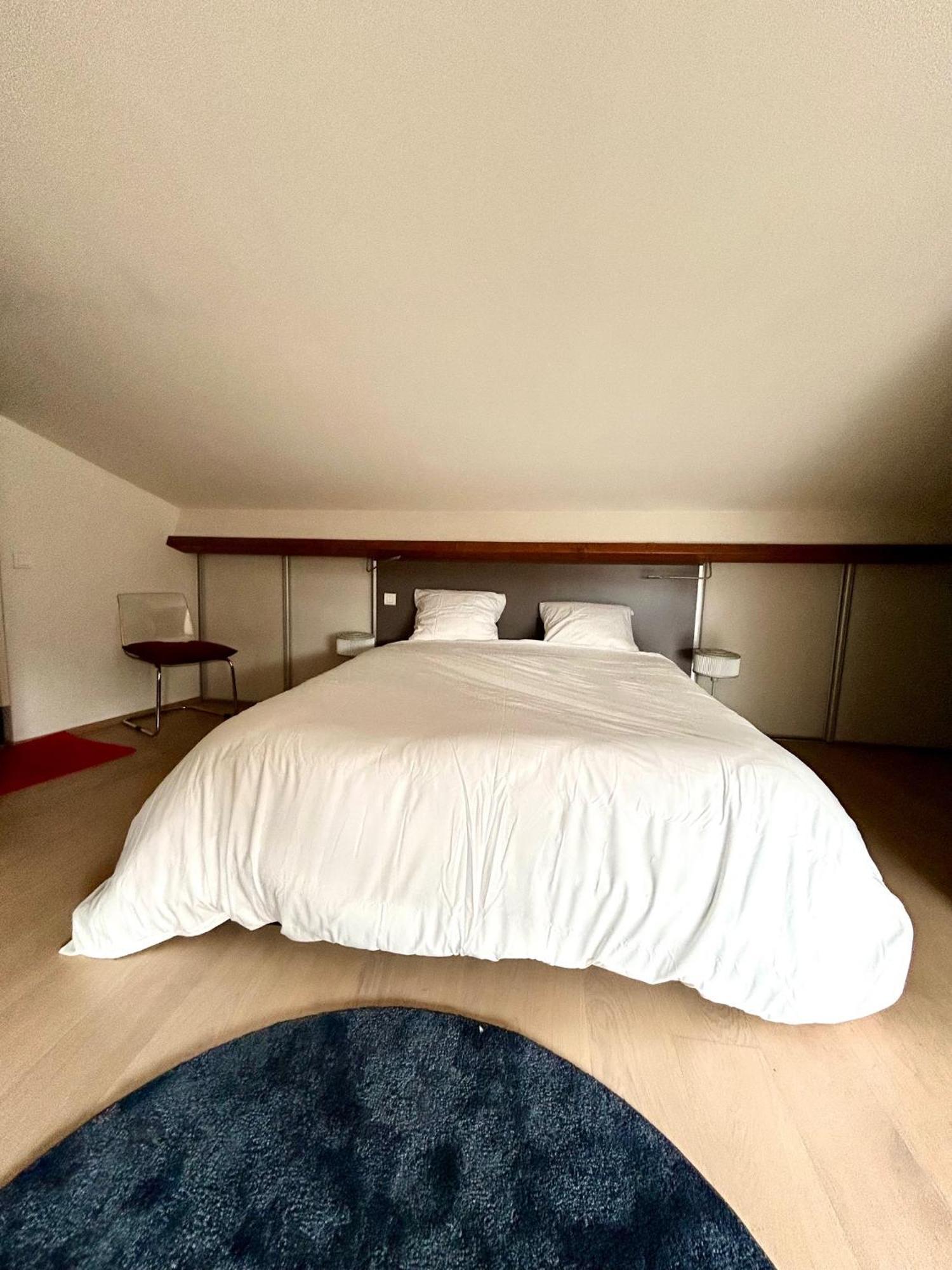 Loft Garonne - Centre Ville Immeuble Privatif トゥールーズ エクステリア 写真