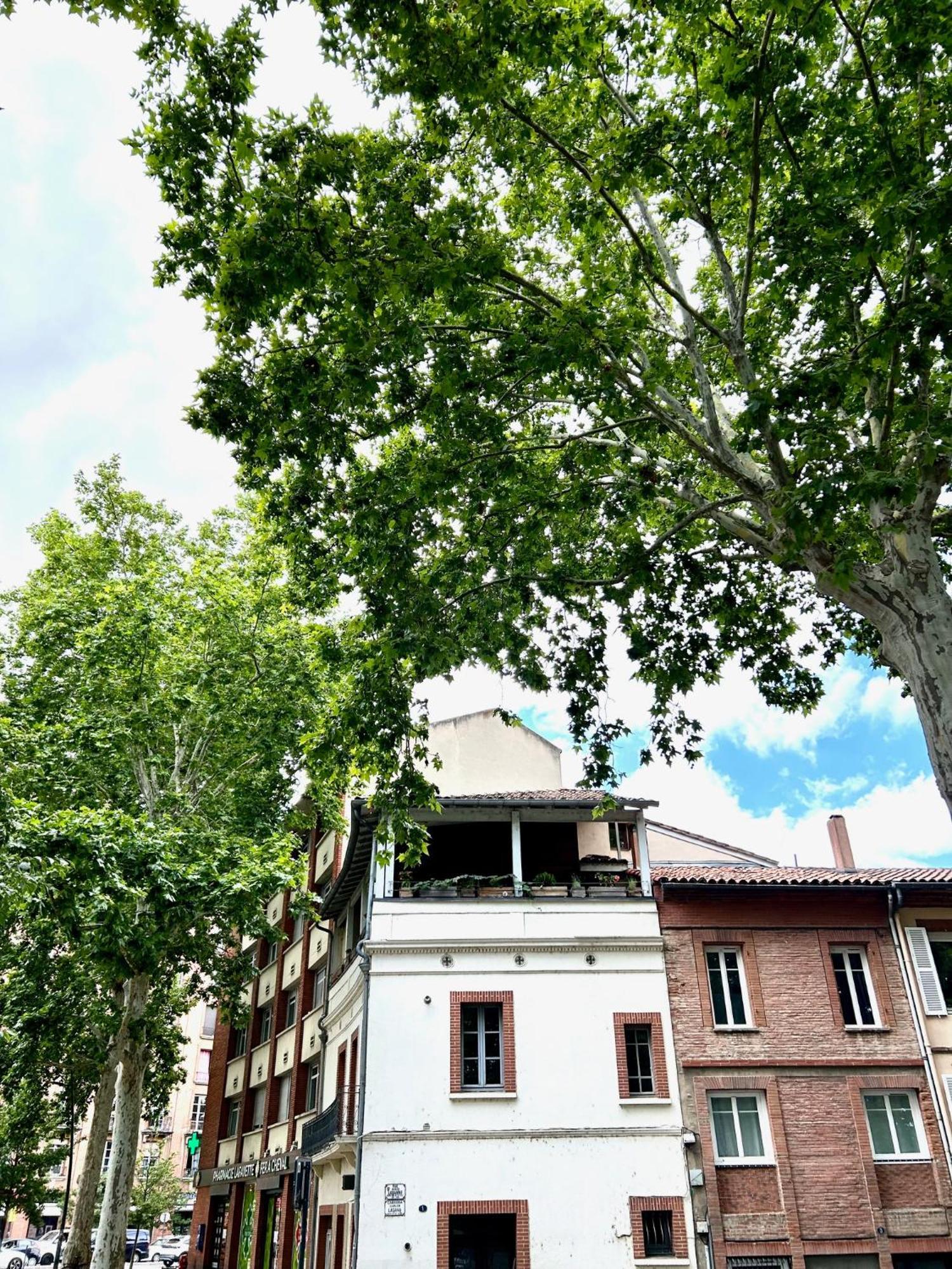 Loft Garonne - Centre Ville Immeuble Privatif トゥールーズ エクステリア 写真